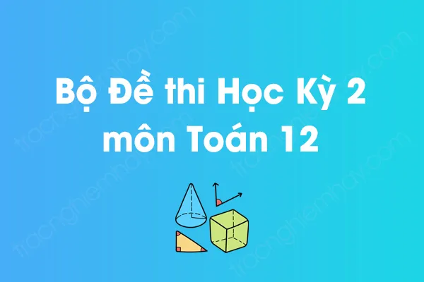 Bộ đề thi học kỳ 2 môn Toán Lớp 12 năm [YEAR]