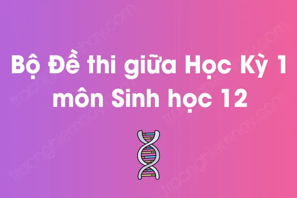 Bộ đề thi giữa học kỳ 1 môn Sinh học Lớp 12 năm [YEAR]