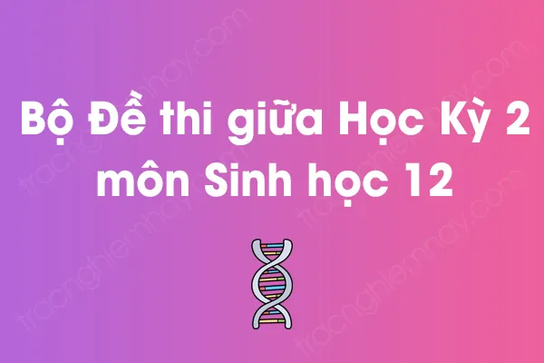 Bộ đề thi giữa học kỳ 2 môn Sinh học Lớp 12 năm [YEAR]