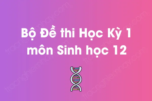 Bộ đề thi học kỳ 1 môn Sinh học Lớp 12 năm [YEAR]