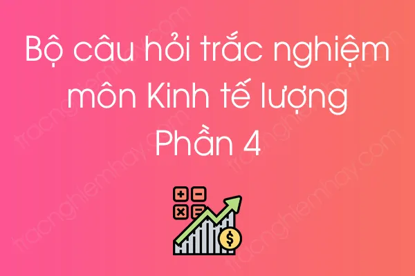 Bộ câu hỏi trắc nghiệm môn Kinh tế lượng - Phần 4 Bộ câu hỏi trắc nghiệm môn Kinh tế lượng - Phần 4