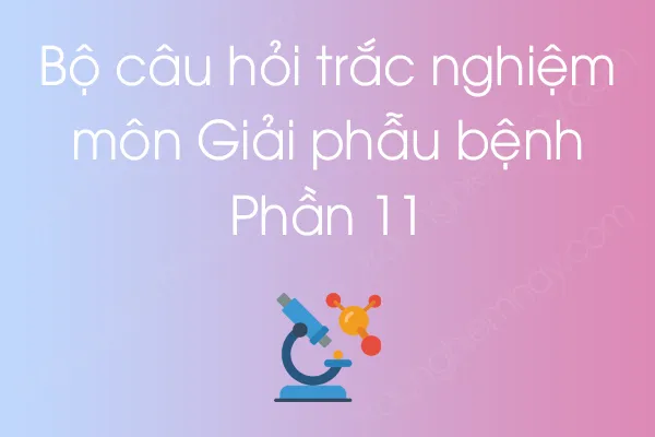 Bộ câu hỏi trắc nghiệm môn Giải phẫu bệnh - Phần 11 Bộ câu hỏi trắc nghiệm môn Giải phẫu bệnh - Phần 11