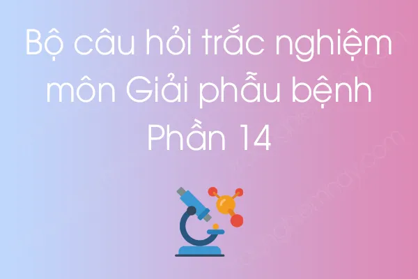Bộ câu hỏi trắc nghiệm môn Giải phẫu bệnh - Phần 14 Bộ câu hỏi trắc nghiệm môn Giải phẫu bệnh - Phần 14