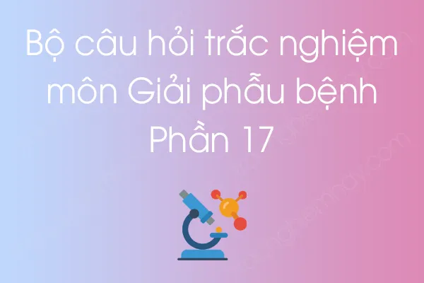 Bộ câu hỏi trắc nghiệm môn Giải phẫu bệnh - Phần 17 Bộ câu hỏi trắc nghiệm môn Giải phẫu bệnh - Phần 17