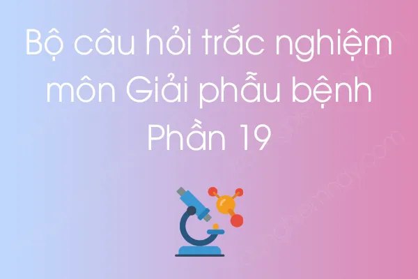 Bộ câu hỏi trắc nghiệm môn Giải phẫu bệnh - Phần 19 Bộ câu hỏi trắc nghiệm môn Giải phẫu bệnh - Phần 19