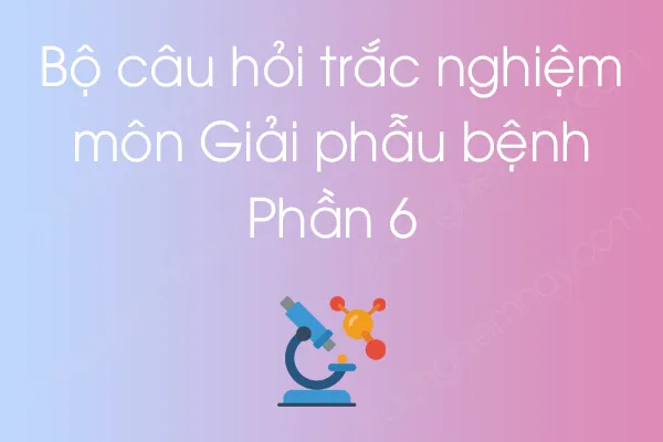 Bộ câu hỏi trắc nghiệm môn Giải phẫu bệnh - Phần 6 Bộ câu hỏi trắc nghiệm môn Giải phẫu bệnh - Phần 6
