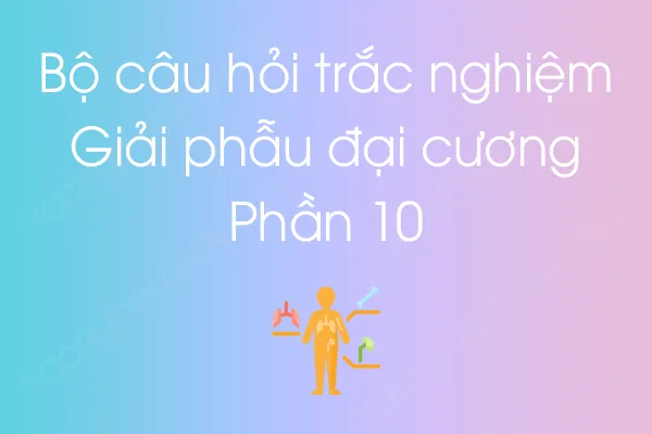 Bộ câu hỏi trắc nghiệm môn Giải phẫu đại cương - Phần 10 Bộ câu hỏi trắc nghiệm môn Giải phẫu đại cương - Phần 10