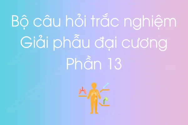 Bộ câu hỏi trắc nghiệm môn Giải phẫu đại cương - Phần 13 Bộ câu hỏi trắc nghiệm môn Giải phẫu đại cương - Phần 13
