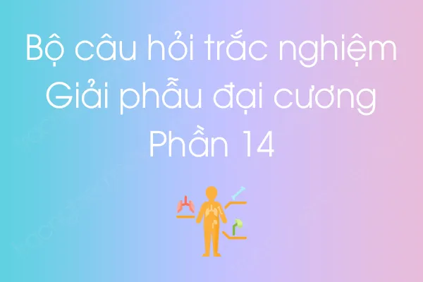 Bộ câu hỏi trắc nghiệm môn Giải phẫu đại cương - Phần 14 Bộ câu hỏi trắc nghiệm môn Giải phẫu đại cương - Phần 14