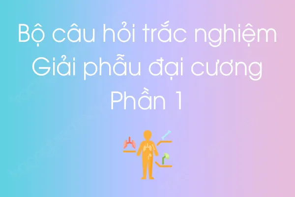 Bộ câu hỏi trắc nghiệm môn Giải phẫu đại cương - Phần 1 Bộ câu hỏi trắc nghiệm môn Giải phẫu đại cương - Phần 1