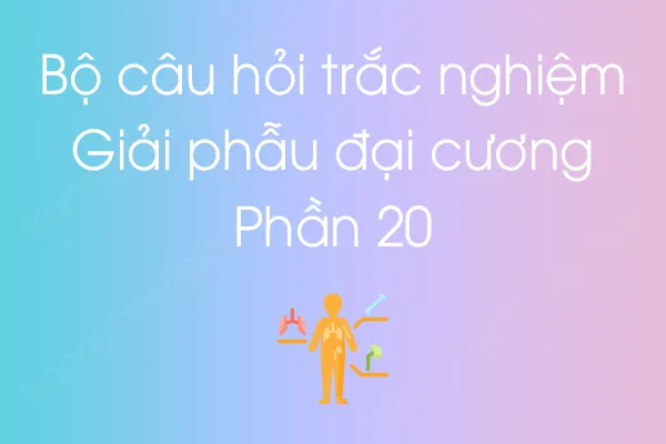 Bộ câu hỏi trắc nghiệm môn Giải phẫu đại cương - Phần 20 Bộ câu hỏi trắc nghiệm môn Giải phẫu đại cương - Phần 20