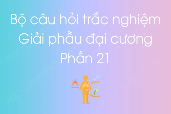 Bộ câu hỏi trắc nghiệm môn Giải phẫu đại cương - Phần 21 Bộ câu hỏi trắc nghiệm môn Giải phẫu đại cương - Phần 21