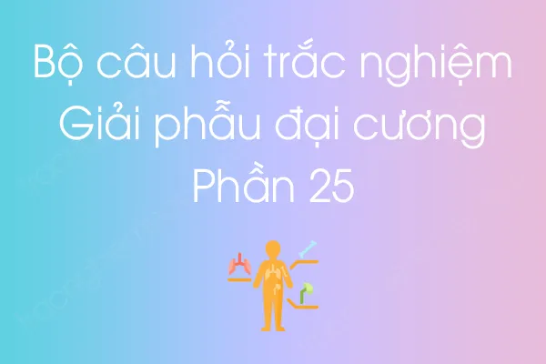 Bộ câu hỏi trắc nghiệm môn Giải phẫu đại cương - Phần 25 Bộ câu hỏi trắc nghiệm môn Giải phẫu đại cương - Phần 25