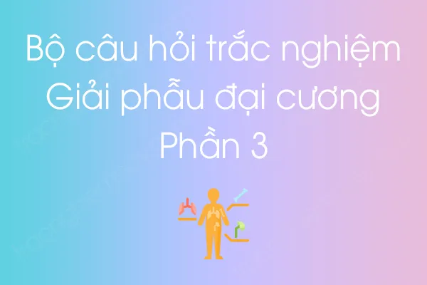 Bộ câu hỏi trắc nghiệm môn Giải phẫu đại cương - Phần 3 Bộ câu hỏi trắc nghiệm môn Giải phẫu đại cương - Phần 3