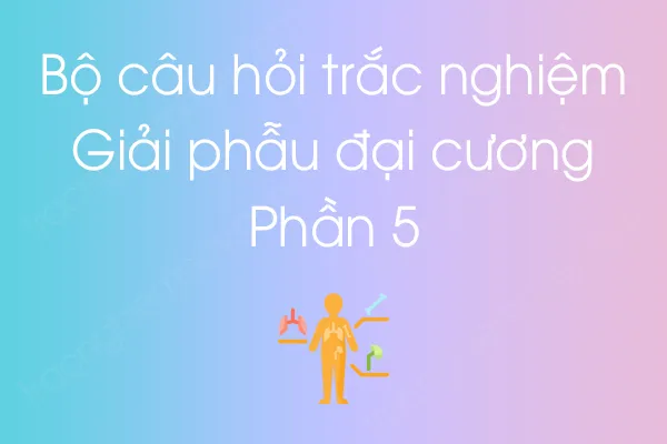 Bộ câu hỏi trắc nghiệm môn Giải phẫu đại cương - Phần 5 Bộ câu hỏi trắc nghiệm môn Giải phẫu đại cương - Phần 5