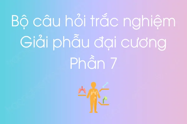 Bộ câu hỏi trắc nghiệm môn Giải phẫu đại cương - Phần 7 Bộ câu hỏi trắc nghiệm môn Giải phẫu đại cương - Phần 7