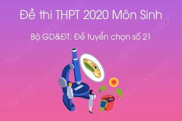 Đề thi thử tốt nghiệp THPT QG môn Sinh năm 2020 Đề tuyển chọn số 21 Đề thi thử tốt nghiệp THPT QG môn Sinh năm 2020 Đề tuyển chọn số 21