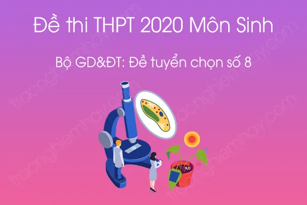 Đề thi thử tốt nghiệp THPT QG môn Sinh năm 2020 Đề tuyển chọn số 8 Đề thi thử tốt nghiệp THPT QG môn Sinh năm 2020 Đề tuyển chọn số 8