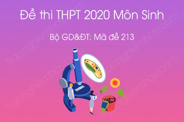 Đề thi tốt nghiệp THPT môn Sinh học năm 2020 của Bộ GD&ĐT mã đề 213 Đề thi tốt nghiệp THPT môn Sinh học năm 2020 của Bộ GD&ĐT mã đề 213