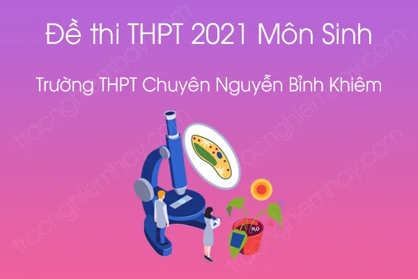 Đề thi thử tốt nghiệp THPT QG 2021 môn Sinh học của Trường THPT Chuyên Nguyễn Bỉnh Khiêm Đề thi thử tốt nghiệp THPT QG 2021 môn Sinh học của Trường THPT Chuyên Nguyễn Bỉnh Khiêm