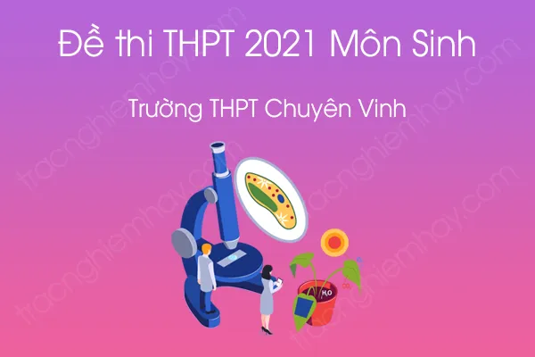 Đề thi thử tốt nghiệp THPT QG 2021 môn Sinh học của Trường THPT Chuyên Vinh Đề thi thử tốt nghiệp THPT QG 2021 môn Sinh học của Trường THPT Chuyên Vinh