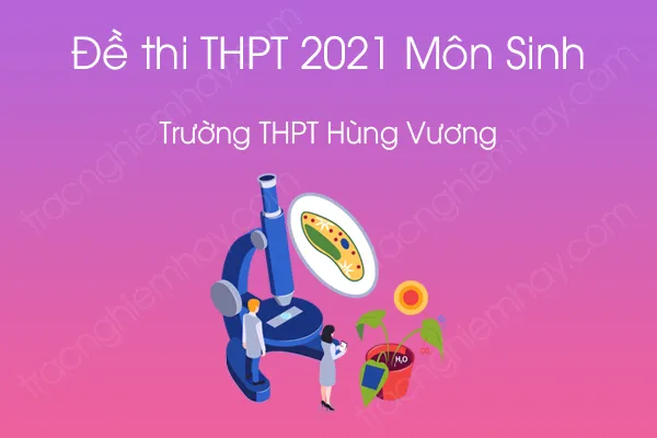 Đề thi thử tốt nghiệp THPT QG 2021 môn Sinh học của Trường THPT Hùng Vương Đề thi thử tốt nghiệp THPT QG 2021 môn Sinh học của Trường THPT Hùng Vương