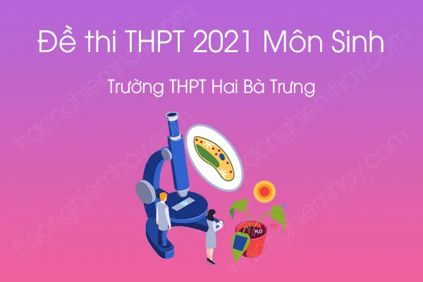 Đề thi thử THPT QG năm 2021 môn Sinh của Trường THPT Hai Bà Trưng Đề thi thử THPT QG năm 2021 môn Sinh của Trường THPT Hai Bà Trưng