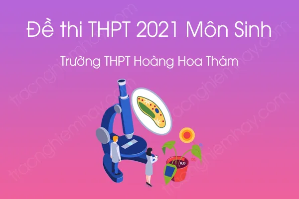 Đề thi thử THPT QG năm 2021 môn Sinh của Trường THPT Hoàng Hoa Thám Đề thi thử THPT QG năm 2021 môn Sinh của Trường THPT Hoàng Hoa Thám