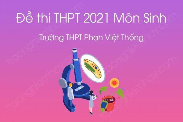 Đề thi thử THPT QG năm 2021 môn Sinh học của Trường THPT Phan Việt Thống Đề thi thử THPT QG năm 2021 môn Sinh học của Trường THPT Phan Việt Thống