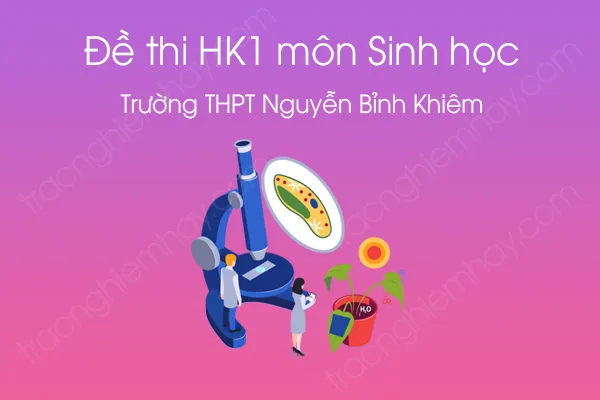 Đề thi HK1 môn Sinh học 12 năm 2020 của Trường THPT Nguyễn Bỉnh Khiêm Đề thi HK1 môn Sinh học 12 năm 2020 của Trường THPT Nguyễn Bỉnh Khiêm