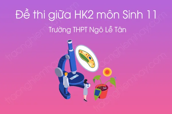 Đề thi giữa HK2 môn Sinh học 11 năm 2021 của Trường THPT Ngô Lễ Tân Đề thi giữa HK2 môn Sinh học 11 năm 2021 của Trường THPT Ngô Lễ Tân