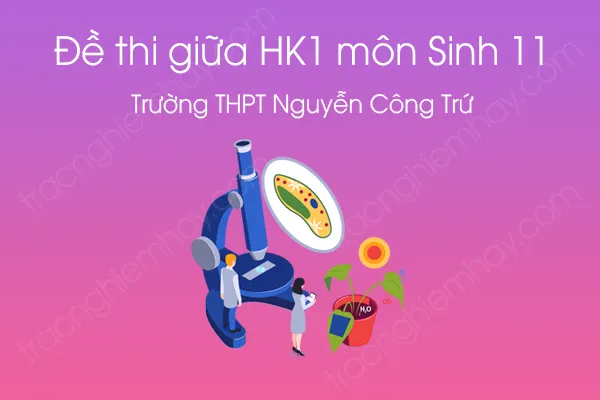 Đề thi giữa HK1 môn Sinh học 11 năm 2020 của Trường THPT Nguyễn Công Trứ Đề thi giữa HK1 môn Sinh học 11 năm 2020 của Trường THPT Nguyễn Công Trứ