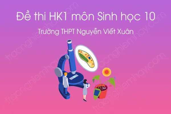 Đề thi HK1 môn Sinh học 10 năm 2020 của Trường THPT Nguyễn Viết Xuân Đề thi HK1 môn Sinh học 10 năm 2020 của Trường THPT Nguyễn Viết Xuân