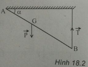  30 câu trắc nghiệm Cân bằng của một vật có trục quay cố định - Momen lực cực hay có đáp án (phần 1) 