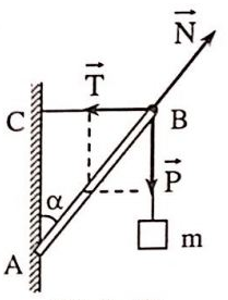  15 câu trắc nghiệm Cân bằng của một vật chịu tác dụng của hai lực và của ba lực không song song cực hay có đáp án 