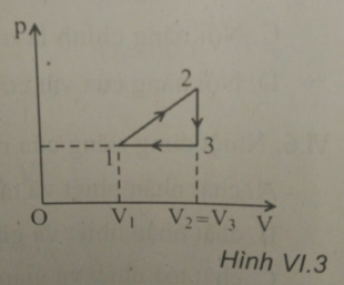  10 câu trắc nghiệm Ôn tập Chương 6 cực hay có đáp án 