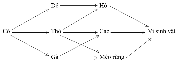 Bài tập trắc nghiệm Sinh học 12 | Câu hỏi trắc nghiệm Sinh học 12 có đáp án